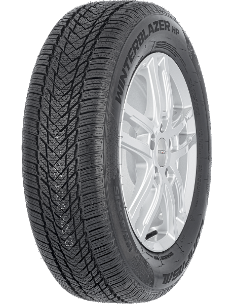 205/55R16 opona COMPASAL WINTERBLAZER 91H
